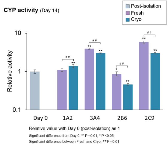 CYP Activity in PXB-cells
