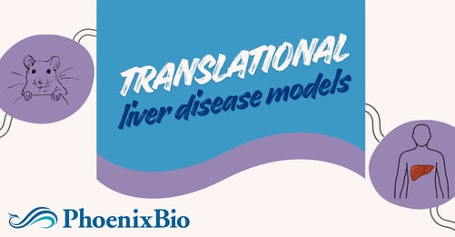 Translational Liver Disease Models