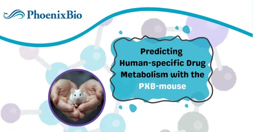 Humanized liver mouse model for human-specific metabolism and  DDI prediction 