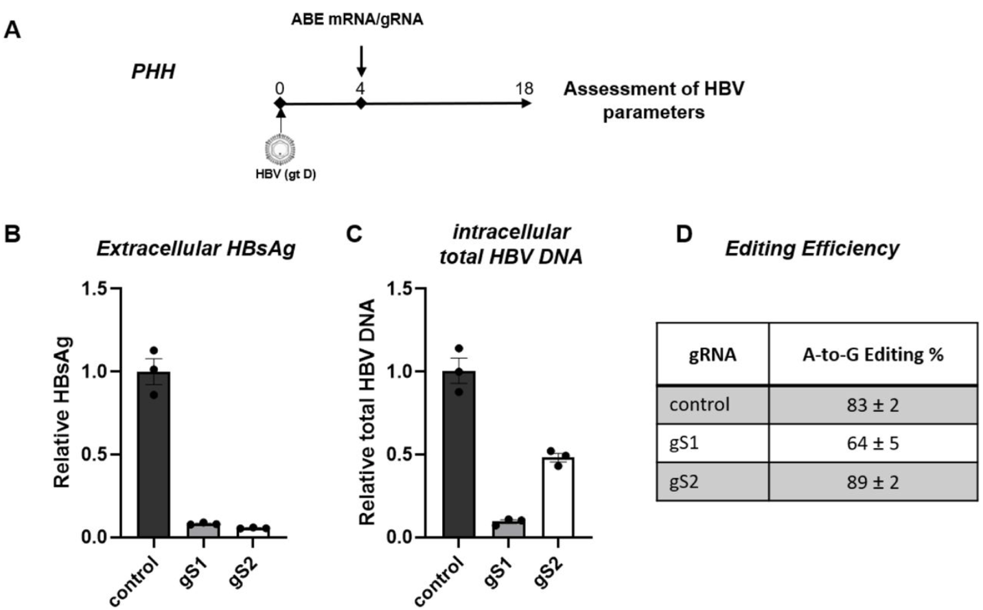 Fig 3. Editing efficiency in PXB-cells