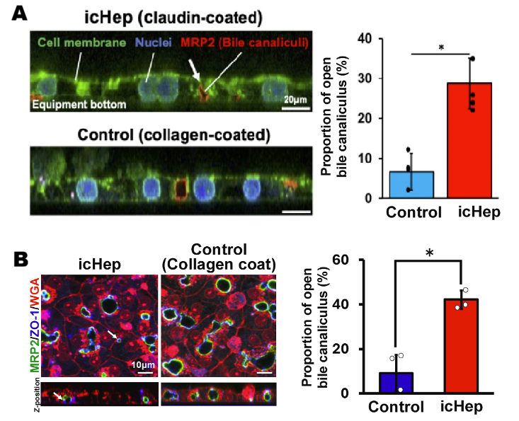 Fig 7_icHep
