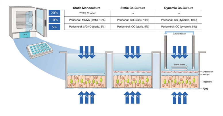 NAM_Figure1_Scheidecker-1