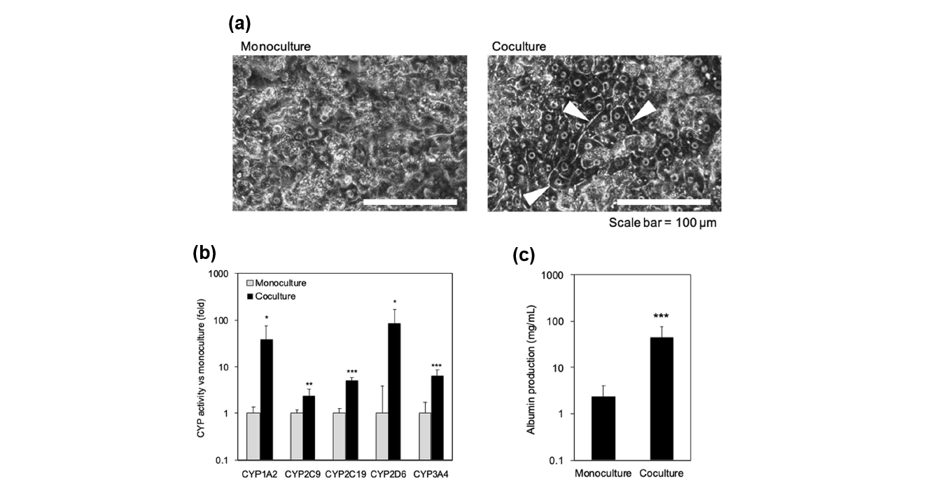 NAM_Figure7_Shinohara