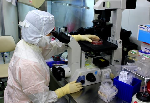 laboratory worker over microscope 