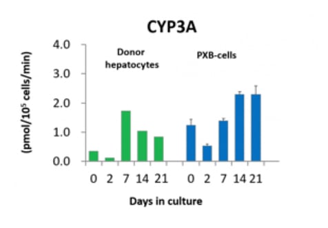 enzyme_activity_graph