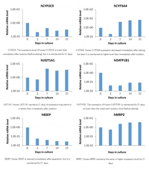 graph_with_genes_expressions