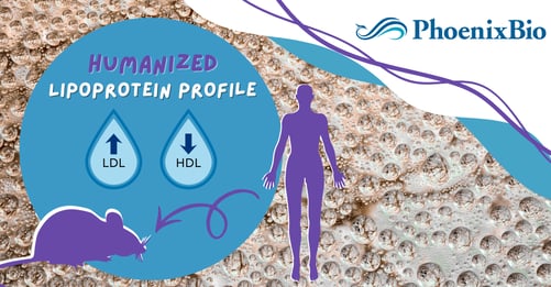 Translational models with human lipoprotein profile