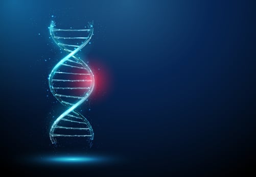 Gene Editing PXB-cells PHHs