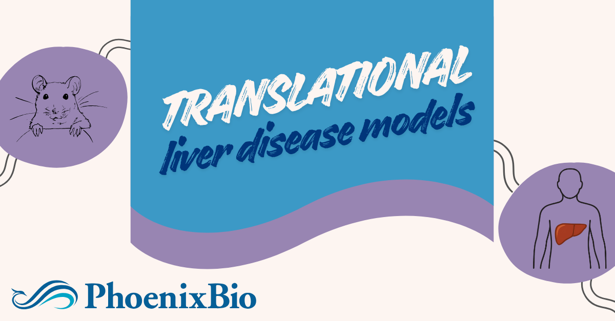 Translational Liver Disease Models